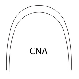 [100-945] 017X025 UPPER BETA TITANIUM CNA PROFORM WIRE (5)